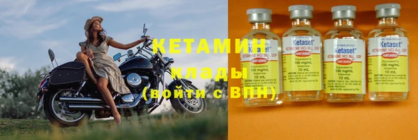 стаф Верея