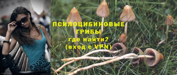 трава Верхний Тагил