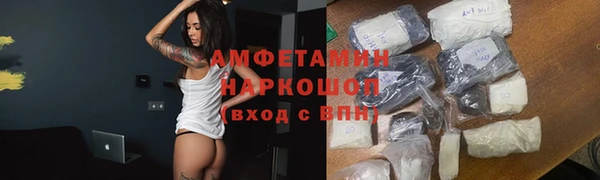 стаф Верея