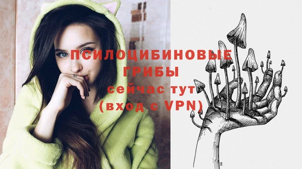 трава Верхний Тагил