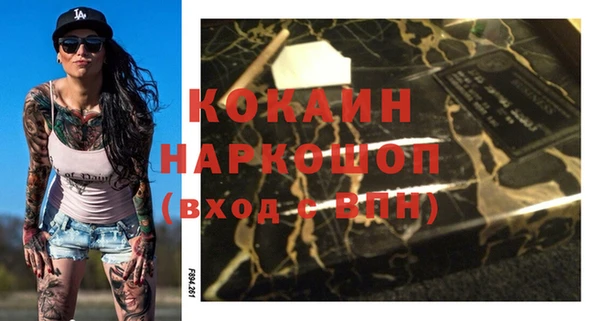 стаф Верея