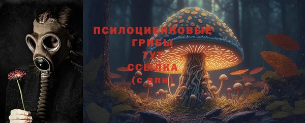 стаф Верея
