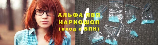 стаф Верея