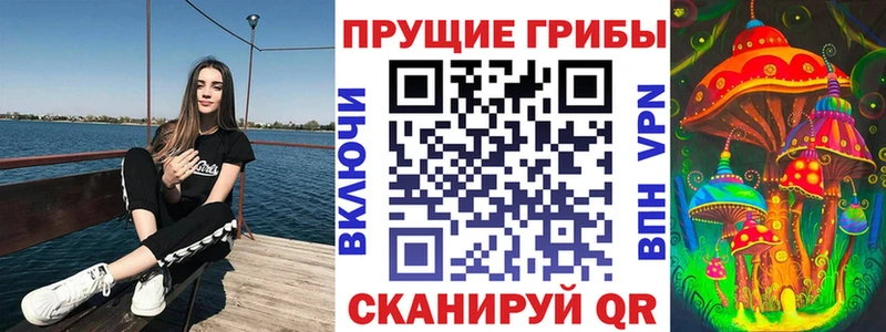 Псилоцибиновые грибы мухоморы  где купить наркоту  Златоуст 